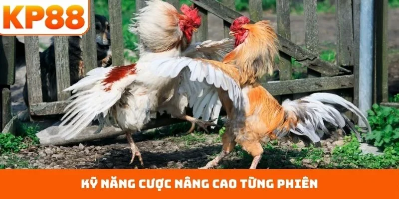 Kỹ năng cược nâng cao từng phiên